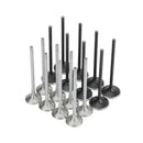 Skunk2 Honda K20C1 Alpha Series Intake & Exhaust Valve Set (Standard Compression)