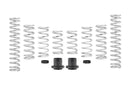 Eibach Pro-UTV Stage 2 14-16 Polaris RZR XP 1000 EPS (2 Seat)