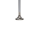 Manley Ford Modular Coyote 5.0L Gen III Race Master Series Intake Valve Set - 1.485in Dia