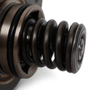 Hondata FK8 Fuel System