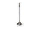 Manley Ford GT350 Voodoo 5.2L Race Master Series Intake Valve Set - 1.508in