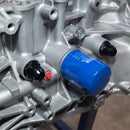 SpeedFactory Racing Billet M28 to -12AN Adapter Fitting B series [SF-11-1228-B]