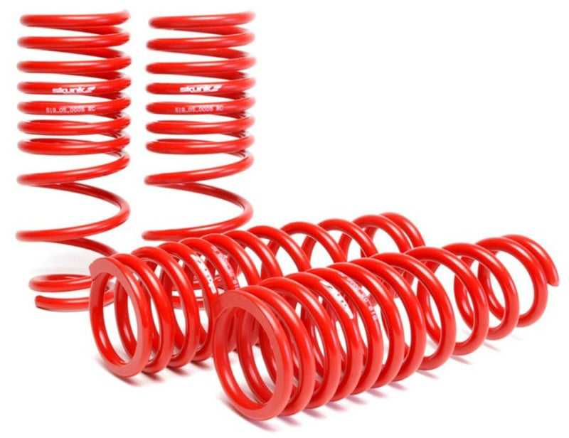 Skunk2 1996-2000 Honda Civic Lowering Springs (2.50in - 2.25in.) (Set of 4) [519-05-1550]