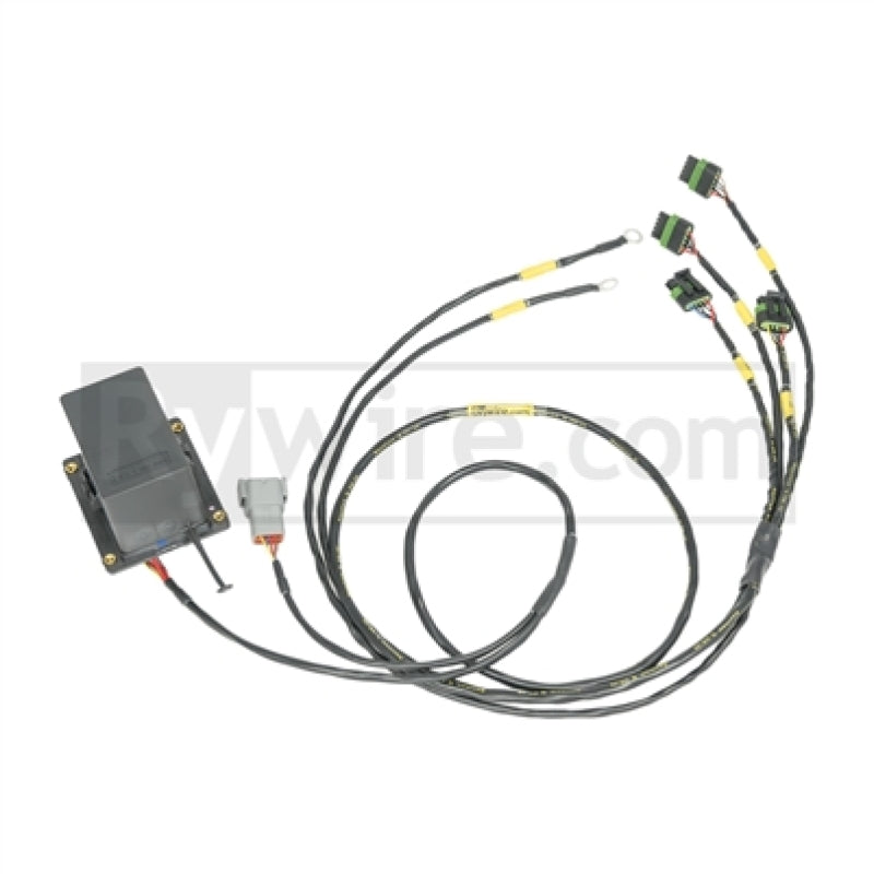 Rywire IGBT (AEM/IGN-1A) Coil Sub-Harness for 2 Rotor Engines [COP-IGBT-HARNESS]